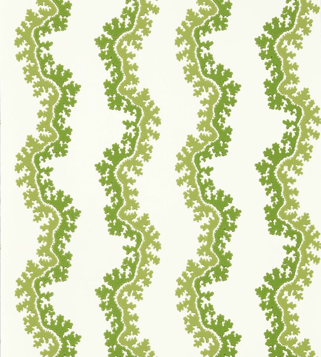 Oxbow Wallpaper by Sanderson Sap Green