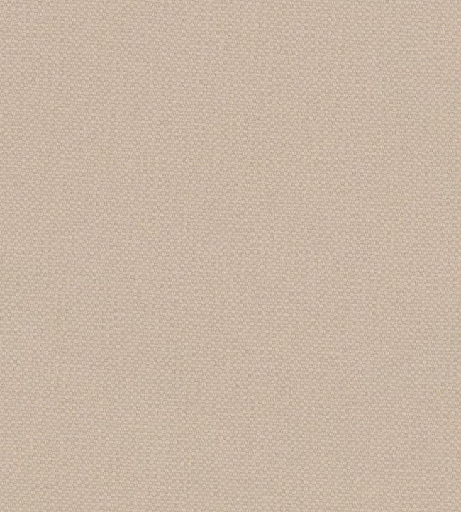 Oxford Fabric by Warwick Ecru