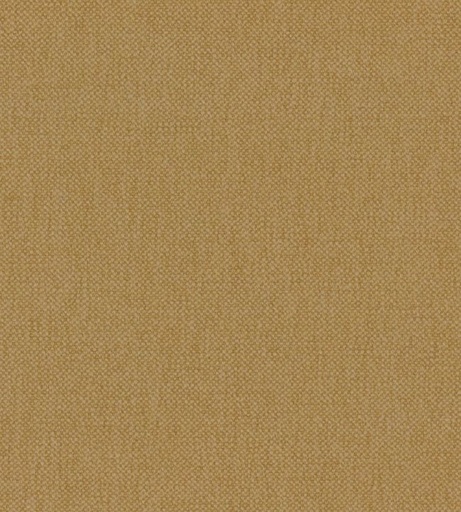 Oxford Fabric by Warwick Mustard