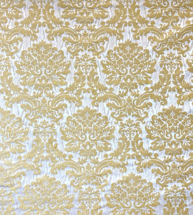 Palatine Fabric by Casal Champagne