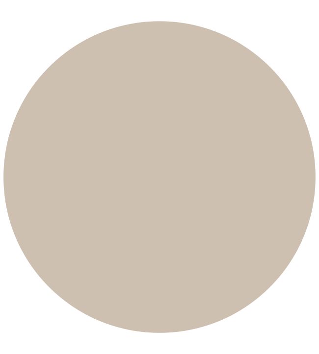 Pale Cashmere 1829 Eggshell Paint by Craig & Rose Pale Cashmere