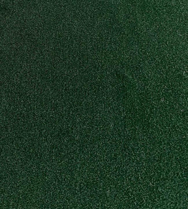 Palis Velvet Fabric by Ian Sanderson Bay Leaf