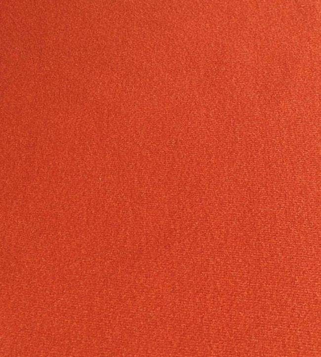 Palis Velvet Fabric by Ian Sanderson Clementine