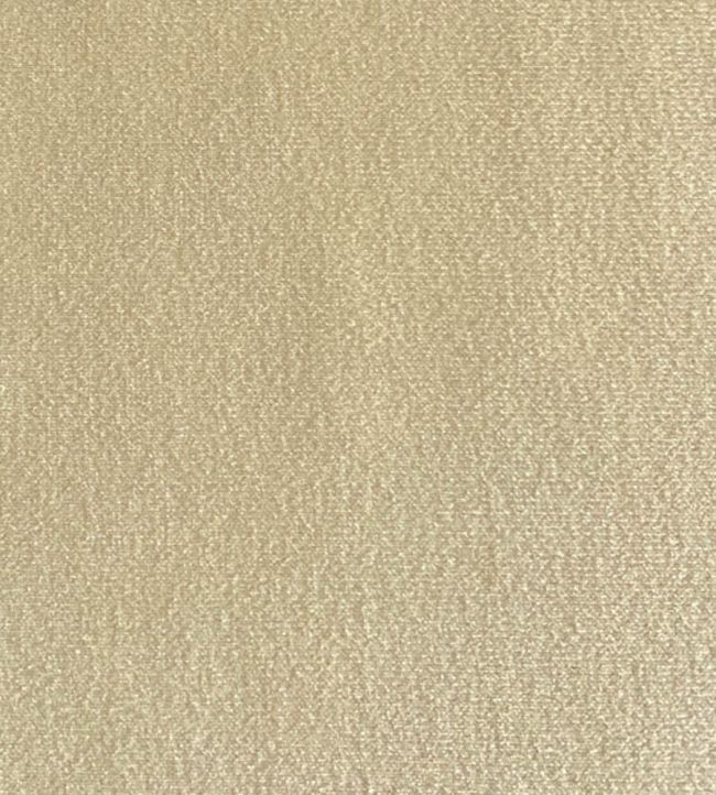 Palis Velvet Fabric by Ian Sanderson Rope