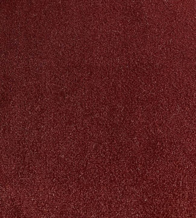 Palis Velvet Fabric by Ian Sanderson Russet