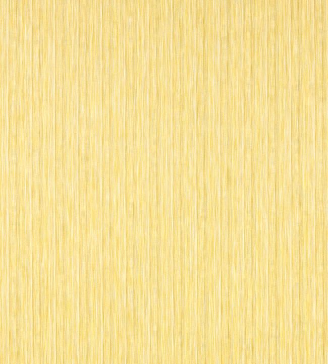 Palla Fabric by Harlequin Honey/First Light