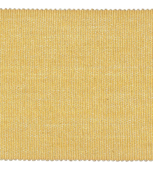 Palladio Braid 65mm Trimming by Houles 9100