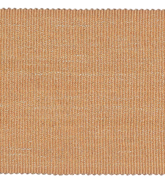 Palladio Braid 65mm Trimming by Houles 9135