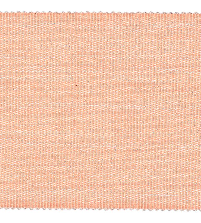 Palladio Braid 65mm Trimming by Houles 9400