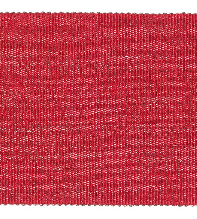 Palladio Braid 65mm Trimming by Houles 9500