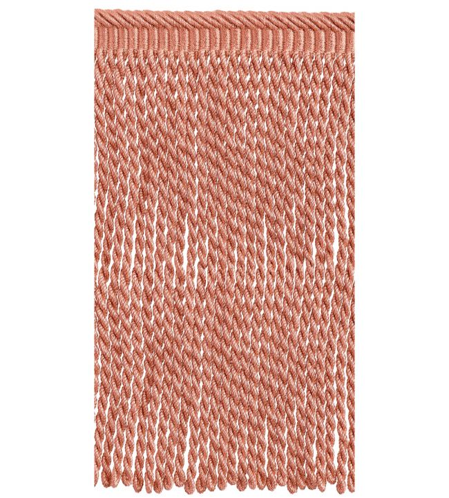 Palladio Bullion Fringe 21cm Trimming by Houles 9400
