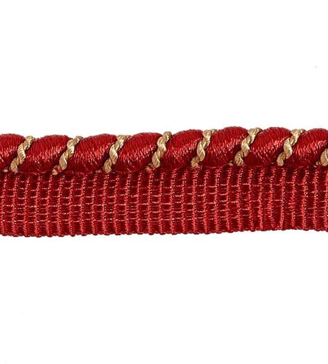 Palladio Piping Cord 6mm Trimming by Houles 9500