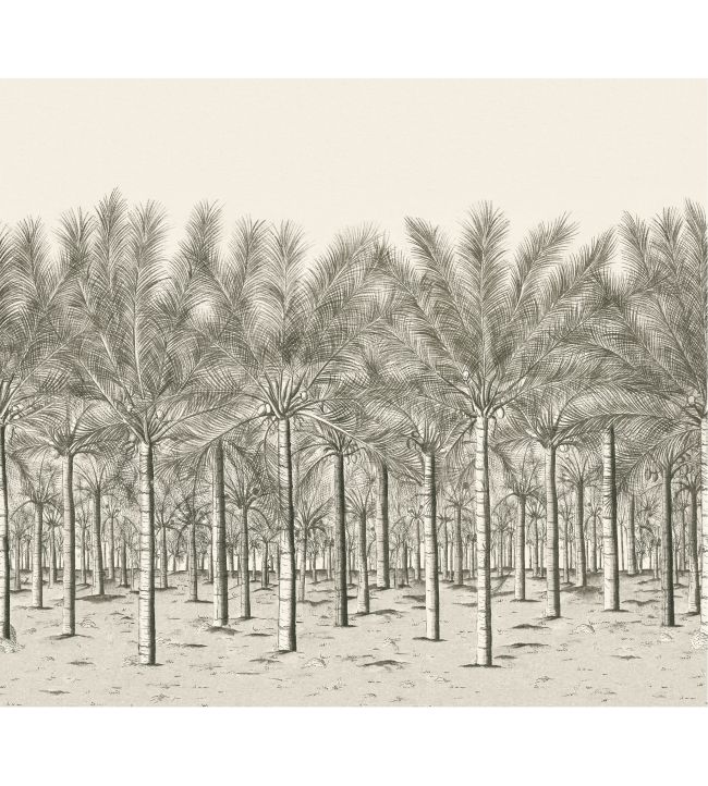 Palm Grove Mural by Thibaut Black Tea