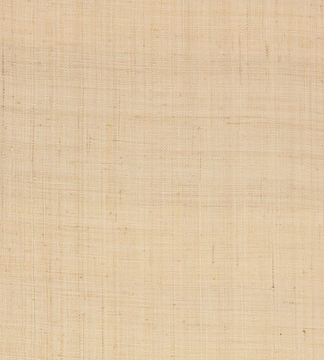 Palm Wallpaper by Mark Alexander Natural