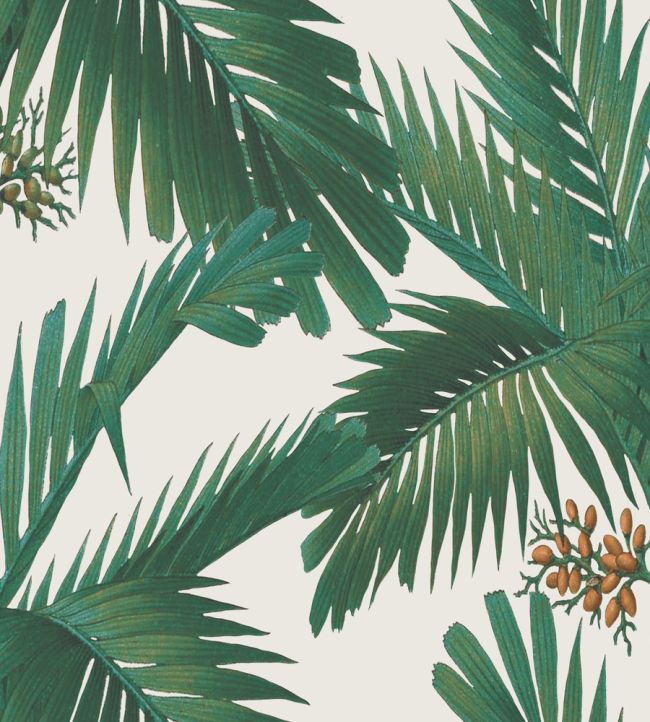 Palm Spring Wallpaper by Rebel Walls Pearl