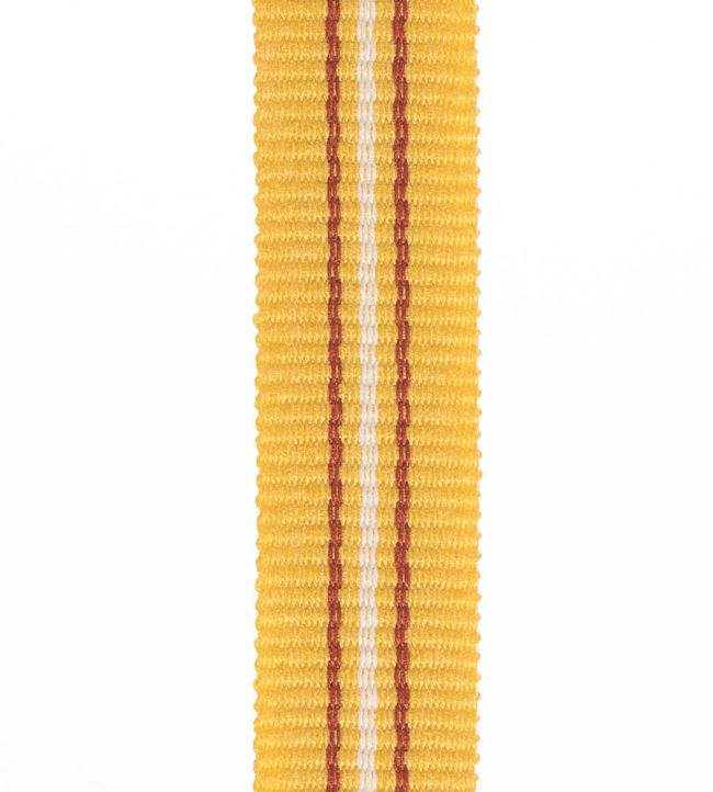 Palma Braid 20mm Trimming by Houles 9100