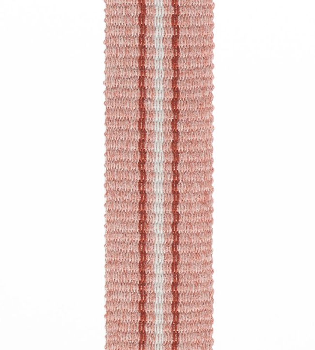 Palma Braid 20mm Trimming by Houles 9400