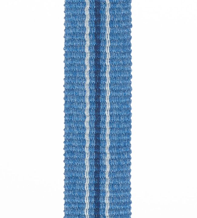 Palma Braid 20mm Trimming by Houles 9600