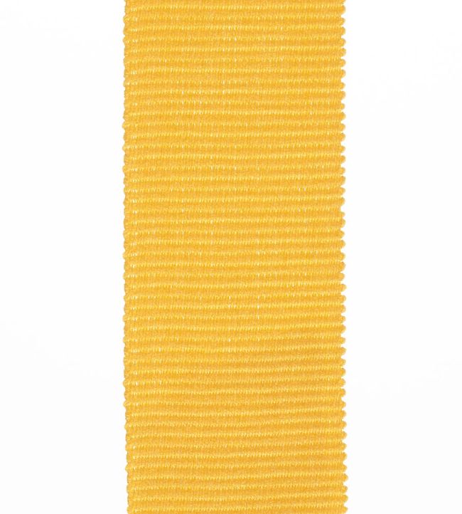Palma Braid 45mm Trimming by Houles 9100