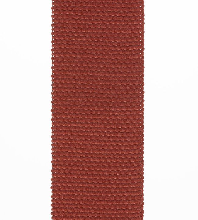 Palma Braid 45mm Trimming by Houles 9300