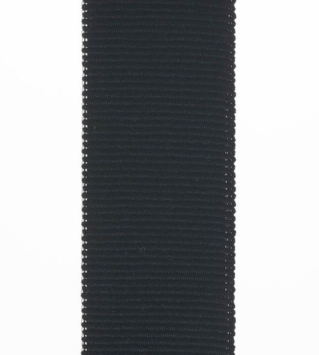Palma Braid 45mm Trimming by Houles 9900