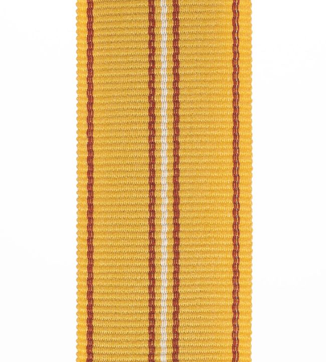 Palma Braid 54mm Trimming by Houles 9100
