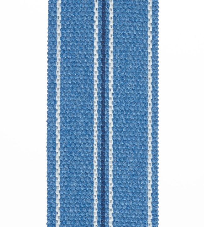 Palma Braid 54mm Trimming by Houles 9600