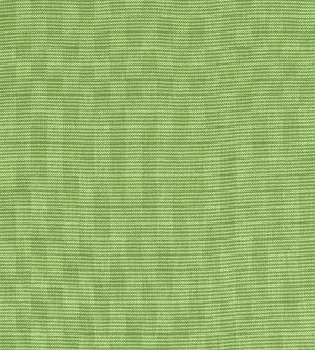Palmer Fabric by Thibaut Kiwi