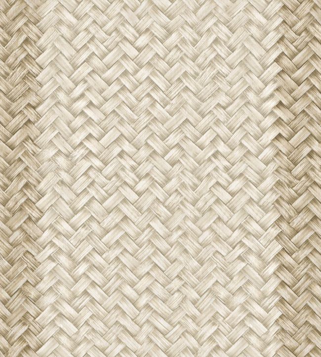 Palmeral Wallpaper by Coordonne Beige