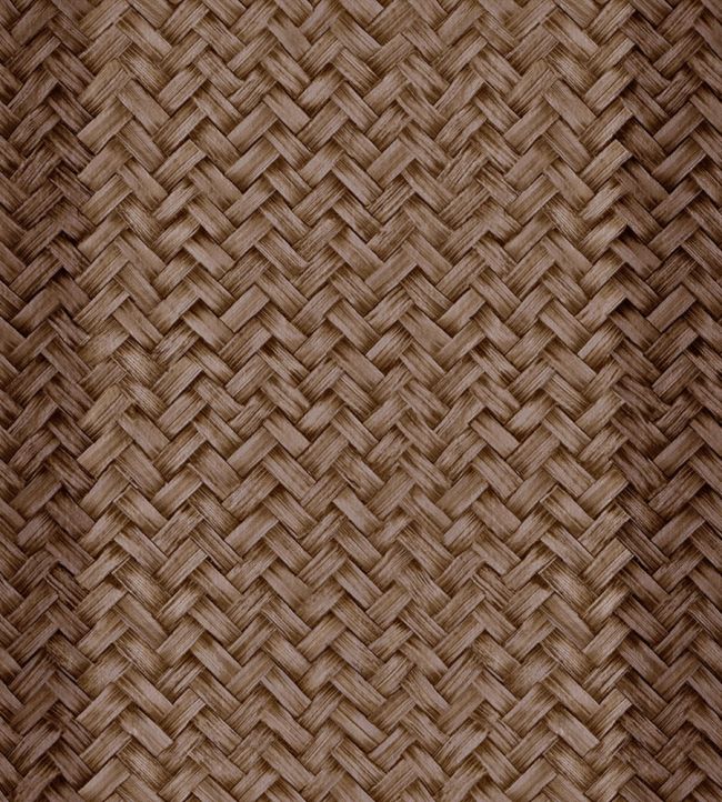 Palmeral Wallpaper by Coordonne Brown
