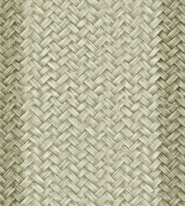Palmeral Wallpaper by Coordonne Green