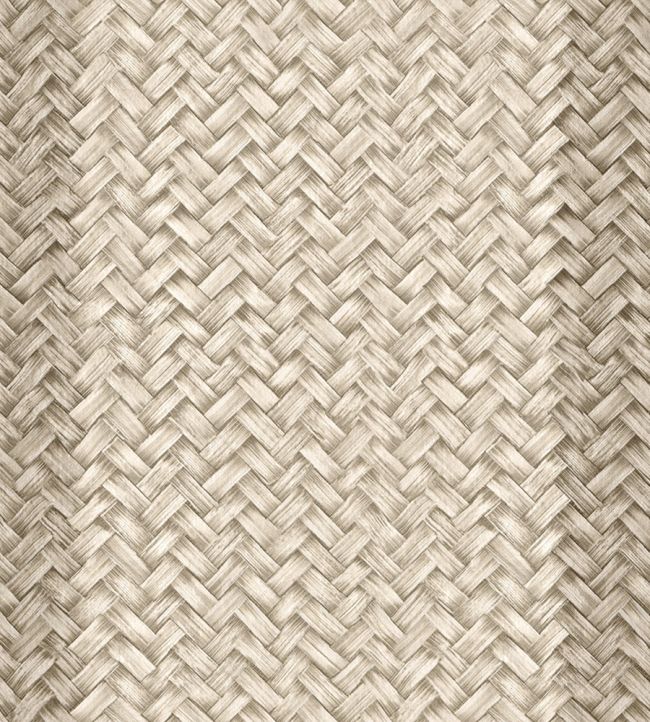Palmeral Wallpaper by Coordonne Nude