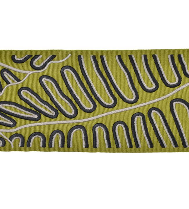 Paloma Embroidered Braid 97mm Trimming by Houles Verde