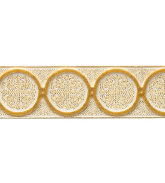 Paloma Velvet Border Trimming by Samuel & Sons Jonquil