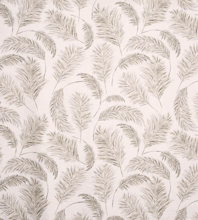Pampas Grass Fabric by Prestigious Textiles Parchment