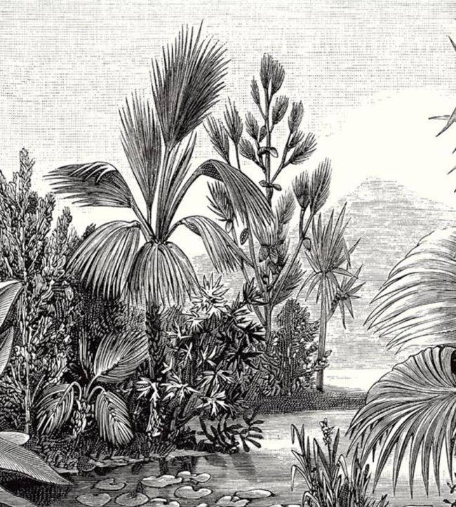 Balade Sauvage Mural by Caselio Noir et Blanc