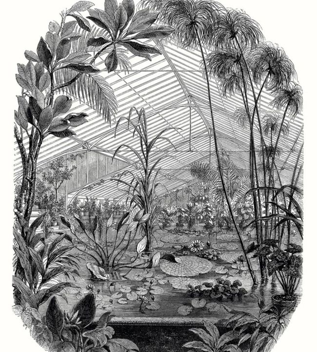 Jardin D'hiver Mural by Caselio Noir et Blanc