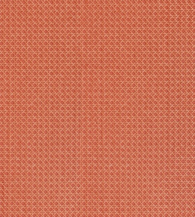 Paper Rattan Wallpaper by Thibaut Coral