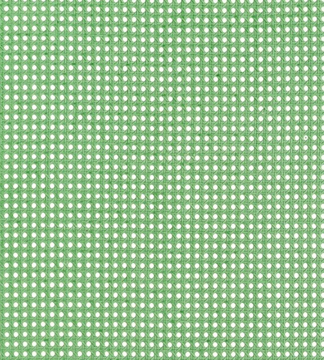 Paper Rattan Wallpaper by Thibaut Kelly Green