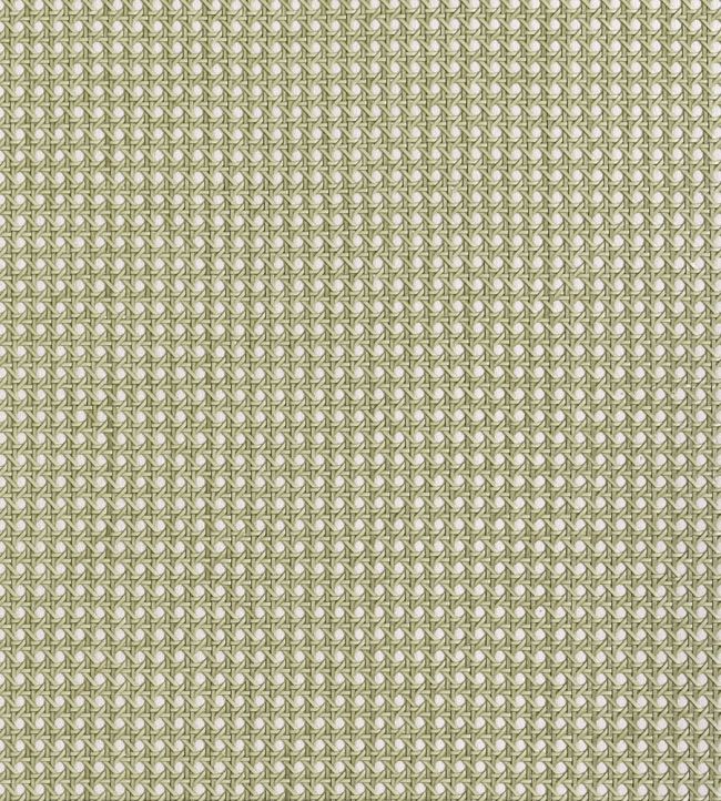 Paper Rattan Wallpaper by Thibaut Olive