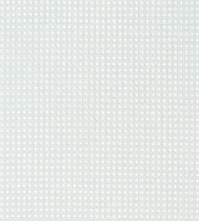 Paper Rattan Wallpaper by Thibaut Seamist