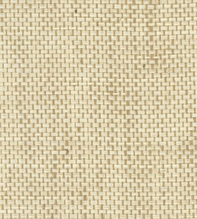 Papyrus Wallpaper by Osborne & Little Bamboo