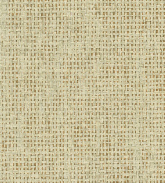 Papyrus Wallpaper by Osborne & Little Straw