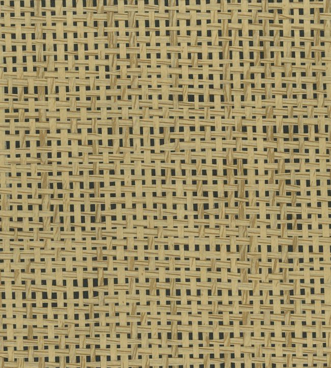 Papyrus Wallpaper by Osborne & Little Walnut