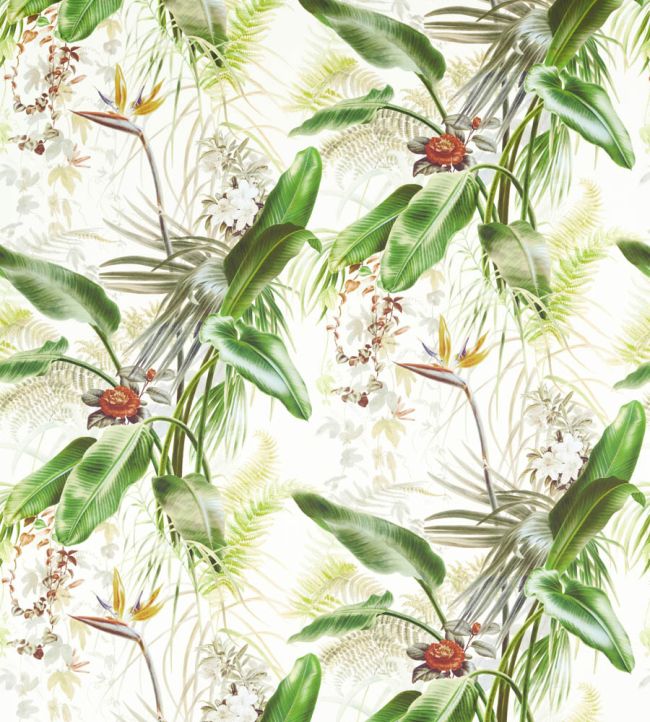 Paradise Row Wallpaper by Zoffany Evergreen