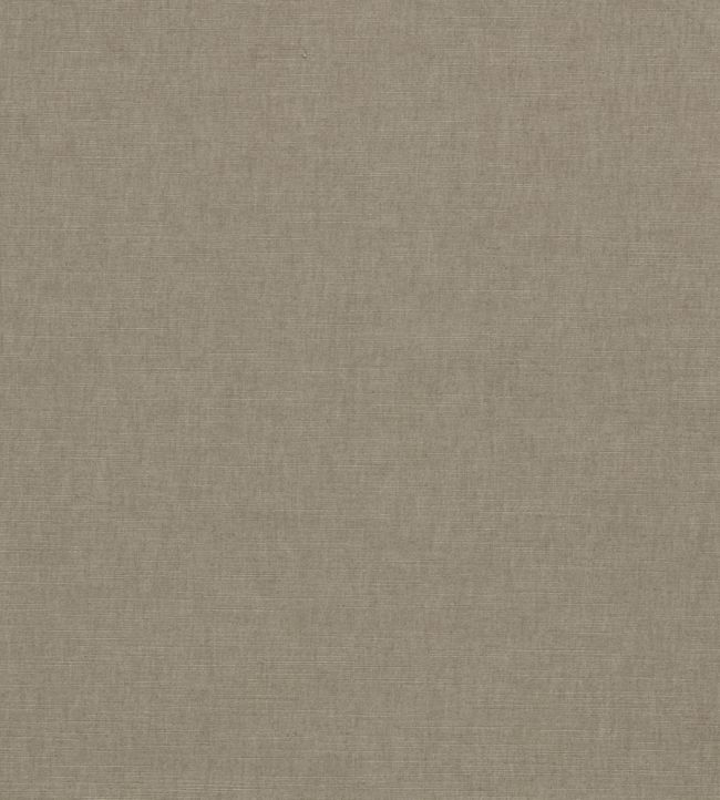 Paradiso Fabric by Clarke & Clarke Ash