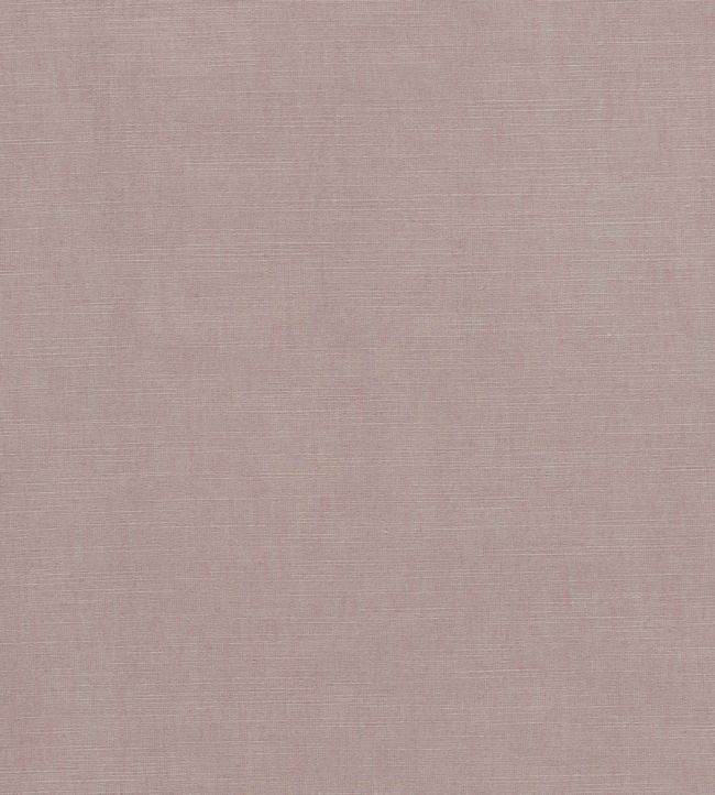 Paradiso Fabric by Clarke & Clarke Blush