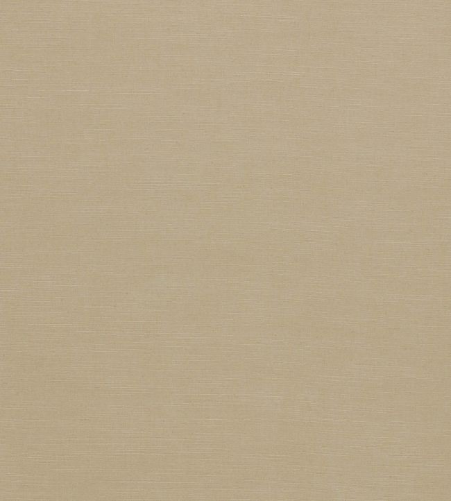 Paradiso Fabric by Clarke & Clarke Buff