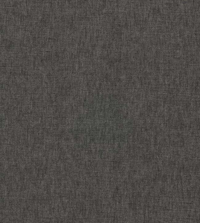 Paradiso Fabric by Clarke & Clarke Charcoal