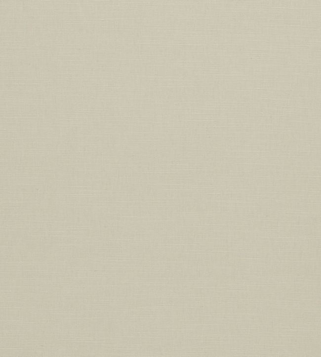 Paradiso Fabric by Clarke & Clarke Ivory